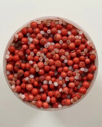 Butter Slime: Stretchy Chocolate Pudding Texture