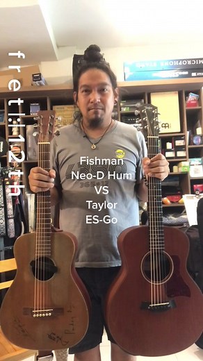 Fishman Neo-D Hum vs Taylor ES-Go Magnetic Comparison