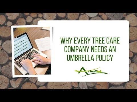 Why Every Tree Care Company Needs an Umbrella Policy