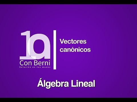Vectores canónicos