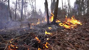 WATCH THIS... Register Now... https://www.perrystone.org/events/2019-prophetic-summit/ ISOW Omega Center International | Perry Stone Ministries