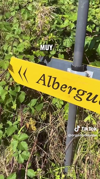 Qué Ver en Navarra: Rutas y Planes Inolvidables