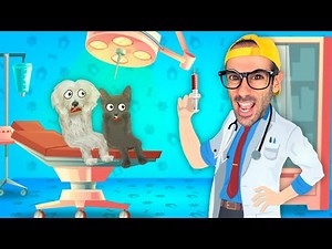 24 HOURS BEING MY DOG'S AND CAT'S DOCTOR!!