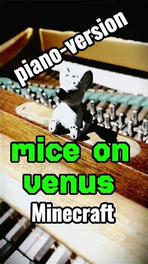Mice on Venus - c418 #neoclassicalpiano #peacefulpiano #pianocover #minecraft #music #feltedpiano