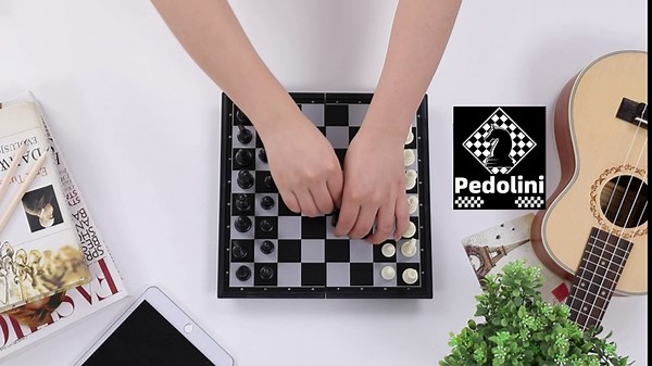 Chess and Checkers Game Set Magnetic - Pedolini 9.7 Inches PortableTravel Chess Set Folding Board Chess Game Gifts