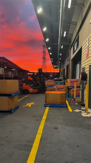 43 reactions | Come with us to the SA Produce Market for a quick recap of what’s been in season ! 省 It’s been a colourful month full of fresh, local favourites — and there’s still plenty to enjoy. Remember to support your local independent fruit and veg stores, where you’ll always find top-quality produce at great value.  A better choice | Pick A Local, Pick SA | Facebook