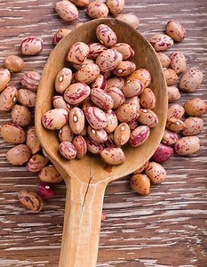 Heirloom Pinto Bean Seeds: Organic Half Runner Shelling - Etsy