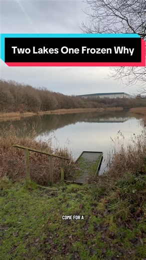 How can two lakes sit side by side yet only one freezes in winter It all comes down to depth water flow and sunlight exposure Nature is wild #naturefacts #lakes #winter #science #outdoors