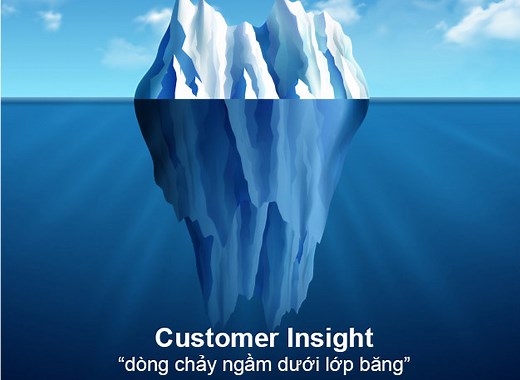 Customer Insight là gì? Cách xác định Insight khách hàng
