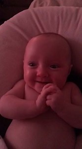 The Davidson Quads on Reels