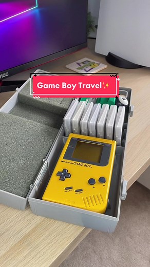 Best GameBoy Travel Case for Gamers on the Go!