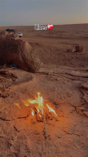 Exploring Urdu Poetry: Insights and Creator Tips