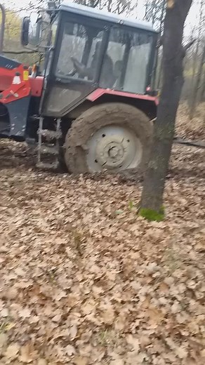 Red Tractor Stuck in Forest: A Nature Encounter