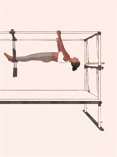 【Spread Eagle 展翅雄鹰】 难度级别: L2 中级(需有练习基础哦~) 【普拉提学习6步走】 动作模式Movement Pattern 肌肉原理Muscle Essence# ★起始姿势Starting Position ★动作要点Movement Key Points ●动作调整Modifications #RichcorePilates #PilatesSingapore #ReformerPilates #PilatesStudio #pilateslifestyle