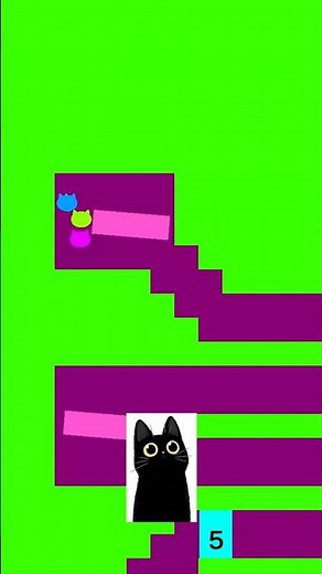 Epic Cat Race! 🐈#squarerace #marblerace #games #cat #shorts