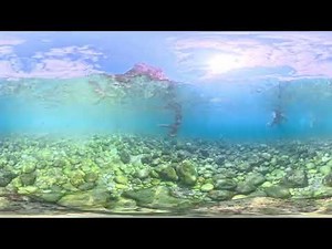 360° Dive Into Hidden Blue Water — Look What’s Around Me! | 8K 2026