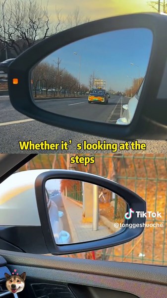 The secret of car rearview mirrors, no more car accidents!#car