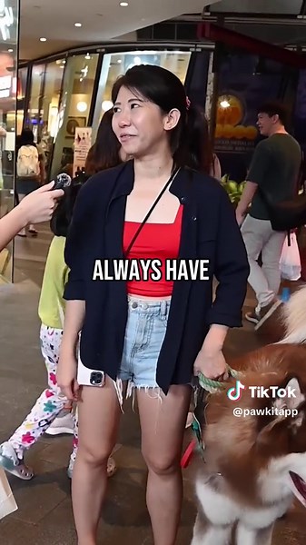 Spending Quality Time with Akashi the Siberian Husky | Pet Owner Interview