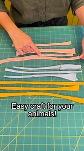 How to turn your old tshirts into a fun toy for your furry friend! 😻#cats #catsdaily #cat #catcrafts #catvideos | Annie Lynn