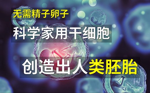 震撼！无需精子卵子，科学家用干细胞创造出人类胚胎，可发育到原肠运动前期