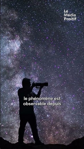 This week, the sky will light up with the peak of the meteor shower!