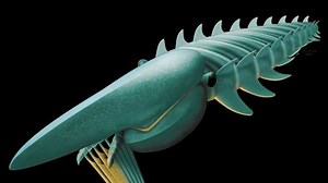 Des scientifiques ont découvert l’existence d’un monstre marin vivant il y a 480 millions d’années