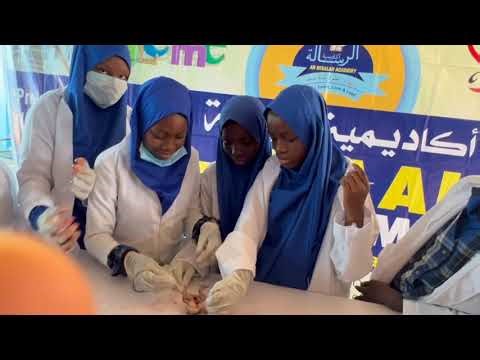 Science in action: Practical biology lesson on toad dissection