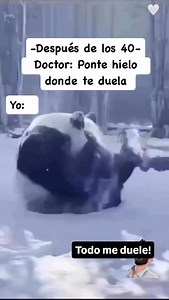 750K views · 4.6K reactions | #doctor #dolor #panda #oso | Talibanas Sofboll | Facebook