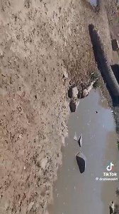 Meme ove olye ahala akale hadi kombada yofifiya? | Thomas Shangula