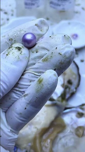 how to make natural pearl? best fish farming techniques, how are saltwater fish in freshwater