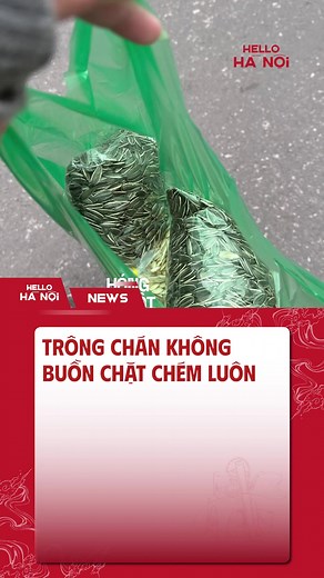 Kỹ năng sống: Những Điều Cần Biết