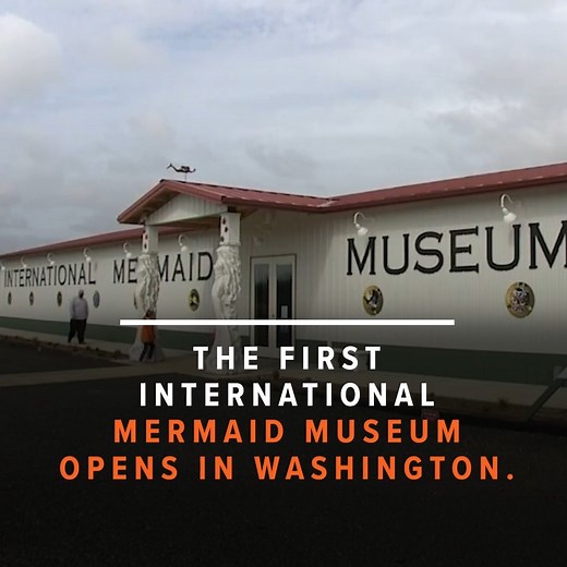 13K views · 121 reactions | The Nation's first Mermaid Museum opens in Washington! Will you visit? | KGW-TV | Facebook