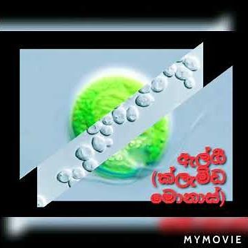 Grade 8 First Lesson (SCIENCE).