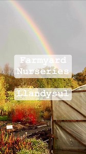 Meet Janine, our amazing propagator. She is originally from Germany and is qualified in Commercial Horticulture and fell in love with the sheer diversity of plants that can be grown in the mild UK climate. #farmyardnurseries #propagation #meettheteam #meetthestaff #plantnurserylife #springfeeling #greenplanet #plantmidwife Green Leaf Plants | Farmyard Nurseries