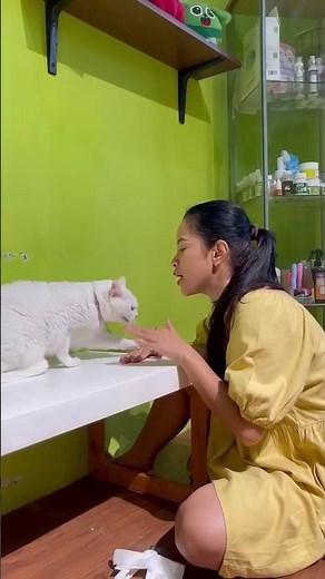 aKu PuNya KuCing JeLek‼️