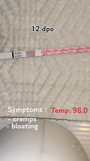 12 dpo. Af is comin in 2 days and it’s looking like she’s gonna show face. #tryingtoconceive #ttc #easyathome #12dpo #12dpopregnancytest #12dpotest #12dpoupdate #12dposymptoms #12dpobfn #ttcjourney #ttccommunity #ttcbaby1 #ttctiktok #pregnancytest #cd25