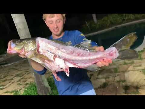 How to Fillet and Cook a Slot Snook ! (Don’t make this mistake!)