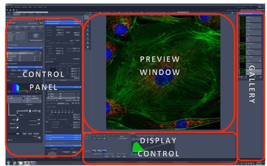 ZEISS LSM880操作指南