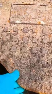 Tackling Stubborn Grease and Dirt in Drains | The Drain Unblockers