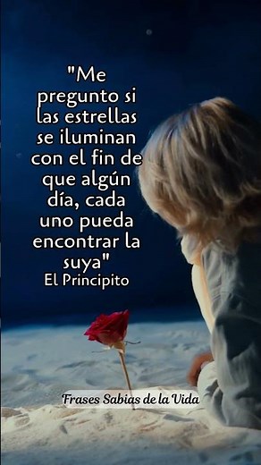 Hermosa frase de El Principito
