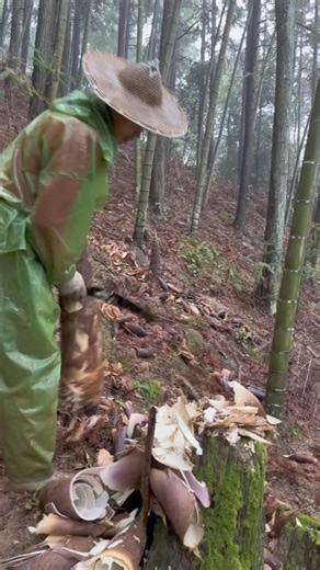 1.8M views · 10K reactions | Satisfy Watch Peel Bamboo Shoot #farming #amazing #viral #fruits #bamboo #bambooshoot #satisfying | DayButterfly | Facebook