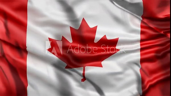 Canada Flag Animation Videos, Seamless Loop Animation, Realistic Canada Flag Background, Canada National Flag Flying Videos For You