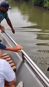 14K views · 38 reactions | Massive Alligator Attacks Tour Boat in...