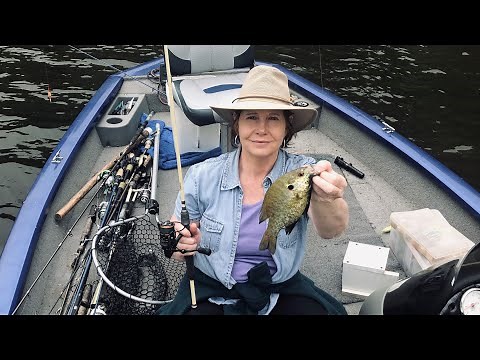 Fishing for Bedding Shellcrackers & Bream with Ms. Debrah - Part 2
