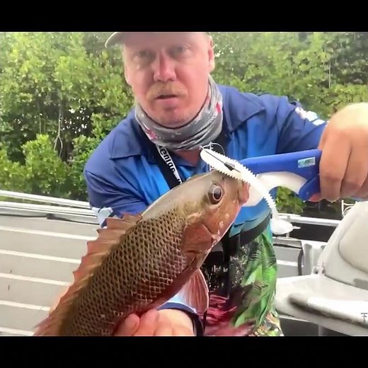Skip casting Mangrove Jack #fishing #mangrovejack