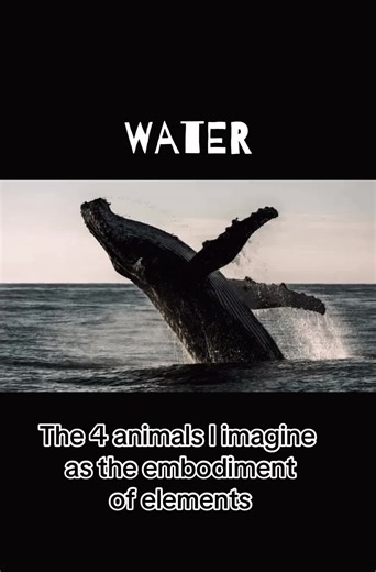 Exploring Animals as Embodiments of the Elements