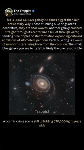 Those Blue Rings Aren't Beautiful — They're A Crime Scene