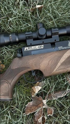 R12 SE bolt action on a frosty morning