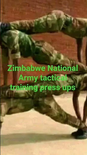 Tactical training Zimbabwe Defence forces