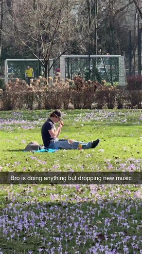 wtf Bro #janmetternich